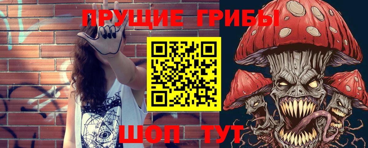 Псилоцибиновые грибы мухоморы Томск