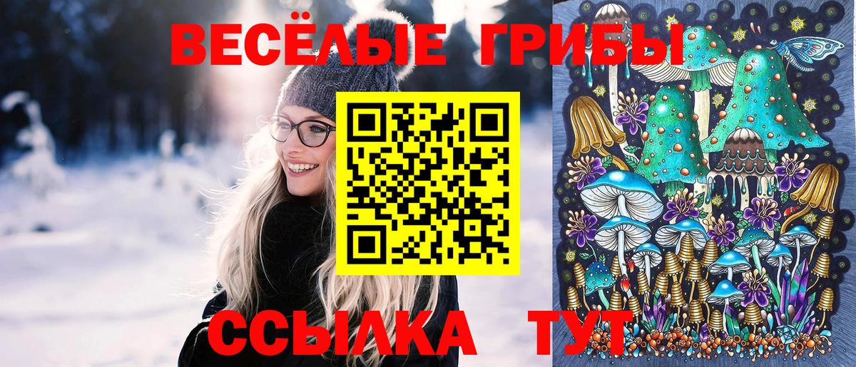 Псилоцибиновые грибы MAGIC MUSHROOMS  Вход с VPN  Томск 